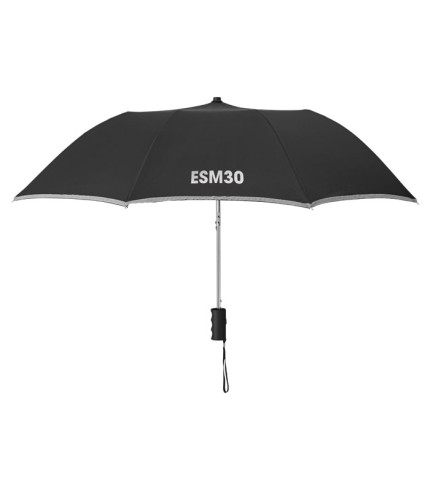 21 inch 2 fold umbrella