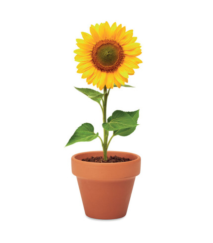 Teglica od terakote 'suncokret'