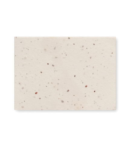 Grass/seed paper memo pad