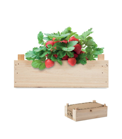 Komplet jagoda u drvenom sanduku
