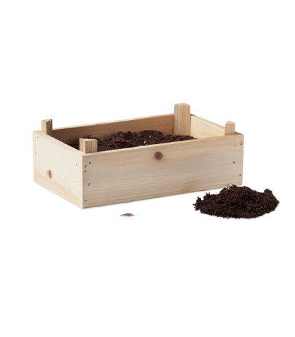 Komplet jagoda u drvenom sanduku