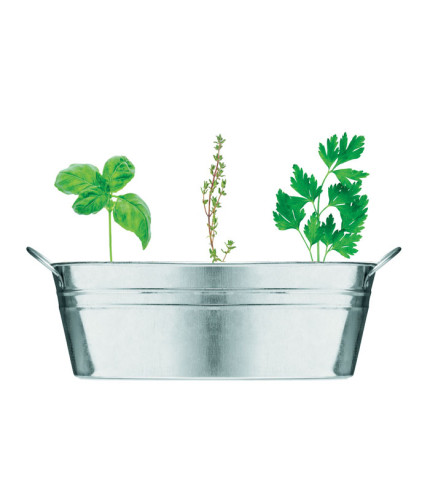 Cinkova kadica sa 3 sjemenke bilja