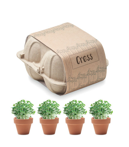 Set za uzgoj kutije za jaja