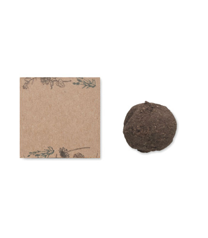 Set za uzgoj sjemenske bombe