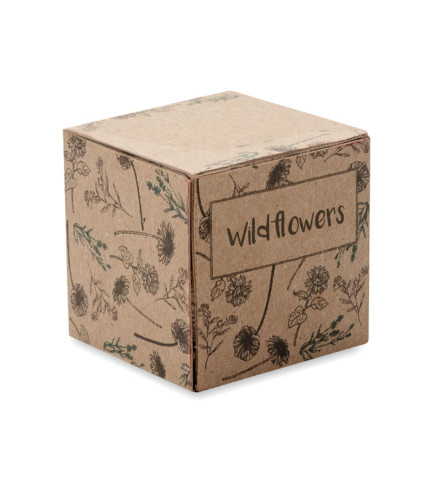 Set za uzgoj sjemenske bombe