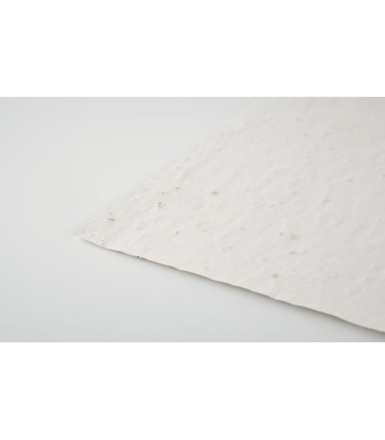 A4 list papira sa sjemenkama divljeg cvijeća