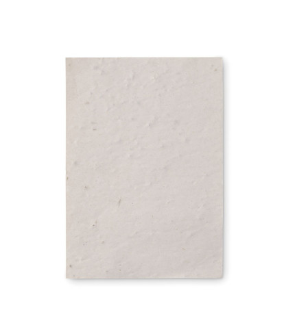 A6 list papira sa sjemenkama divljeg cvijeća