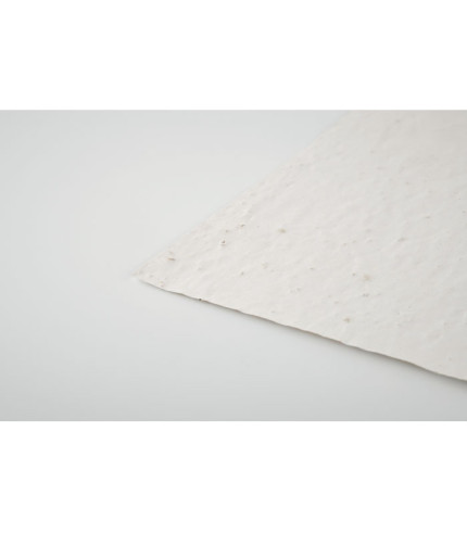 A6 list papira sa sjemenkama divljeg cvijeća