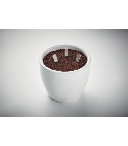 Štapići sjemenki začinskog bilja