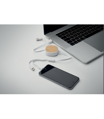 Retractable charging USB cable