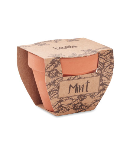 Sjemenke metvice u terakoti