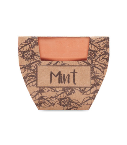 Sjemenke metvice u terakoti