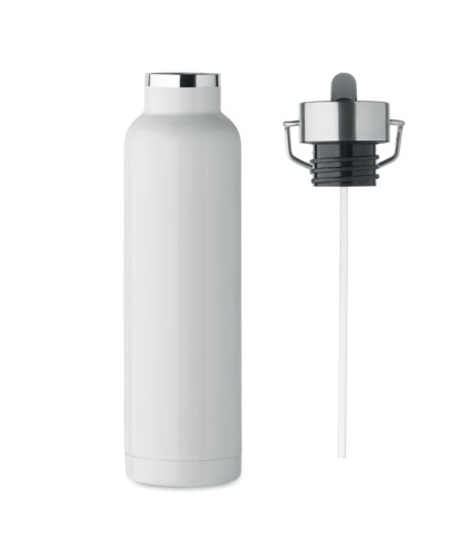 Double wall bottle 660 ml