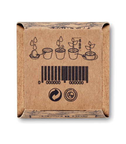 Set za uzgoj suncokreta