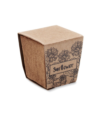 Set za uzgoj suncokreta