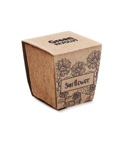 Set za uzgoj suncokreta