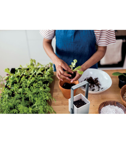 Unutarnji vrt s LED rasvjetom