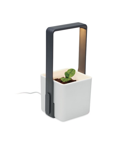 Unutarnji vrt s LED rasvjetom