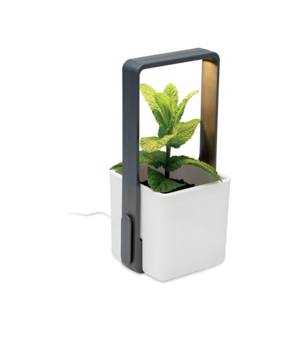 Unutarnji vrt s LED rasvjetom