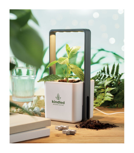 Unutarnji vrt s LED rasvjetom