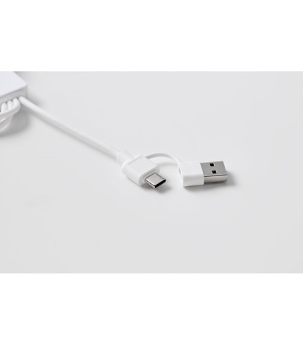 2 u 1 kabel za punjenje tipa C