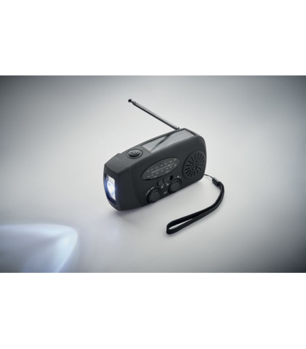 Portable radio with LED torch